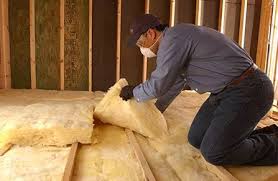 Best Eco-Friendly Insulation Solutions  in Burton, SC